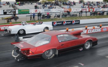 Top Gun Full Bodied Eliminator